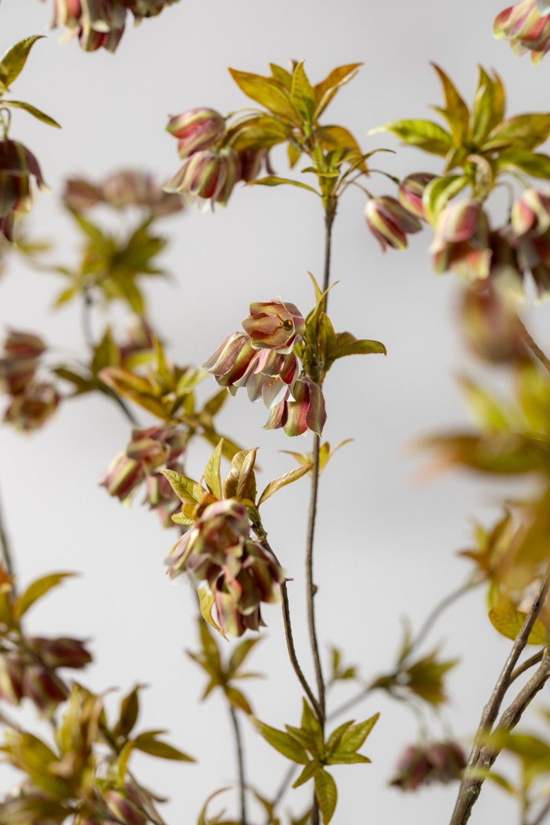 Zijden Bloemen - Silk-Ka - Campanula Tak Groen