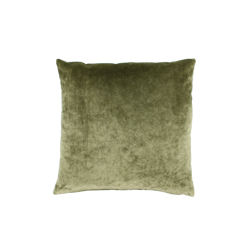 Claudi Kussen - Elita Olive