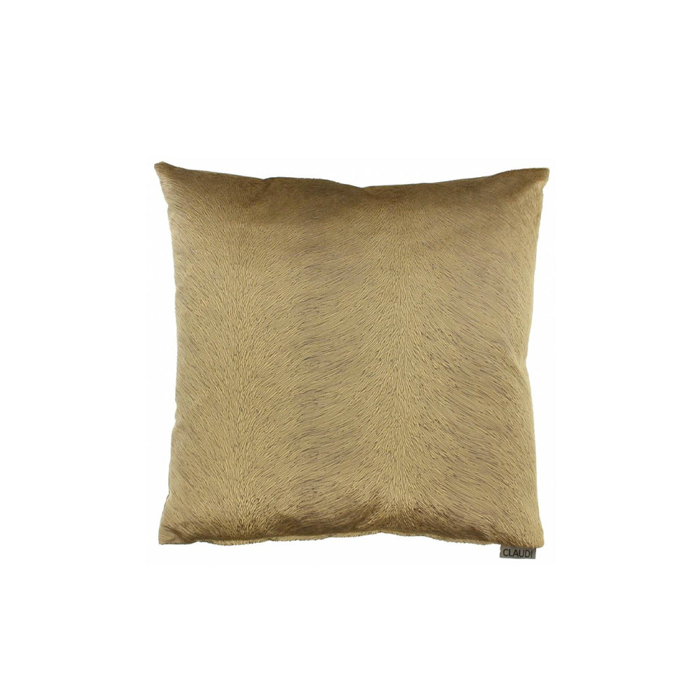 Claudi Kussen - Perla Camel