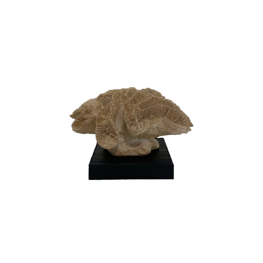 Decoratie Object - Koraal Beige - Small