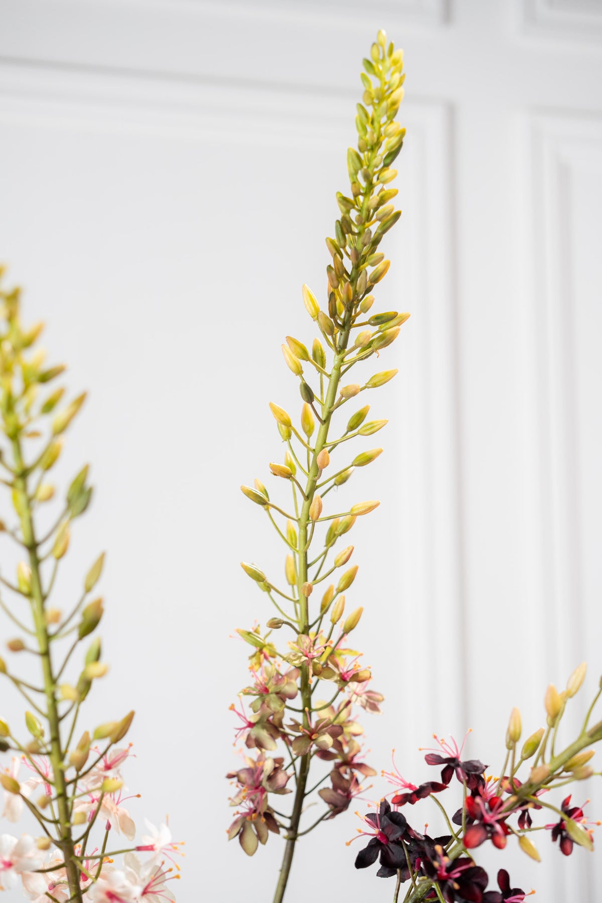 Zijden Bloemen - Silk-Ka - Eremurus Paars / Groen