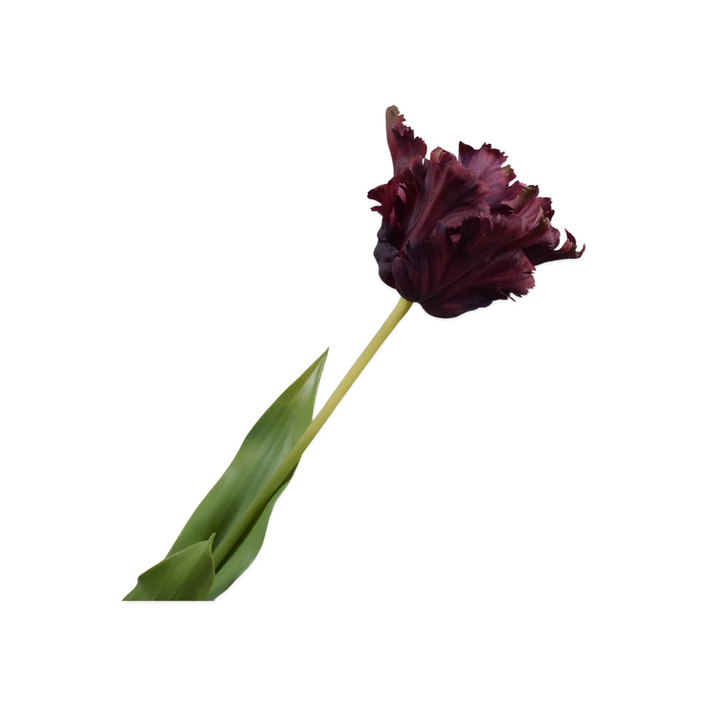 Zijden Bloemen - Silk-Ka - Papegaai Tulp Bordeaux / Paars