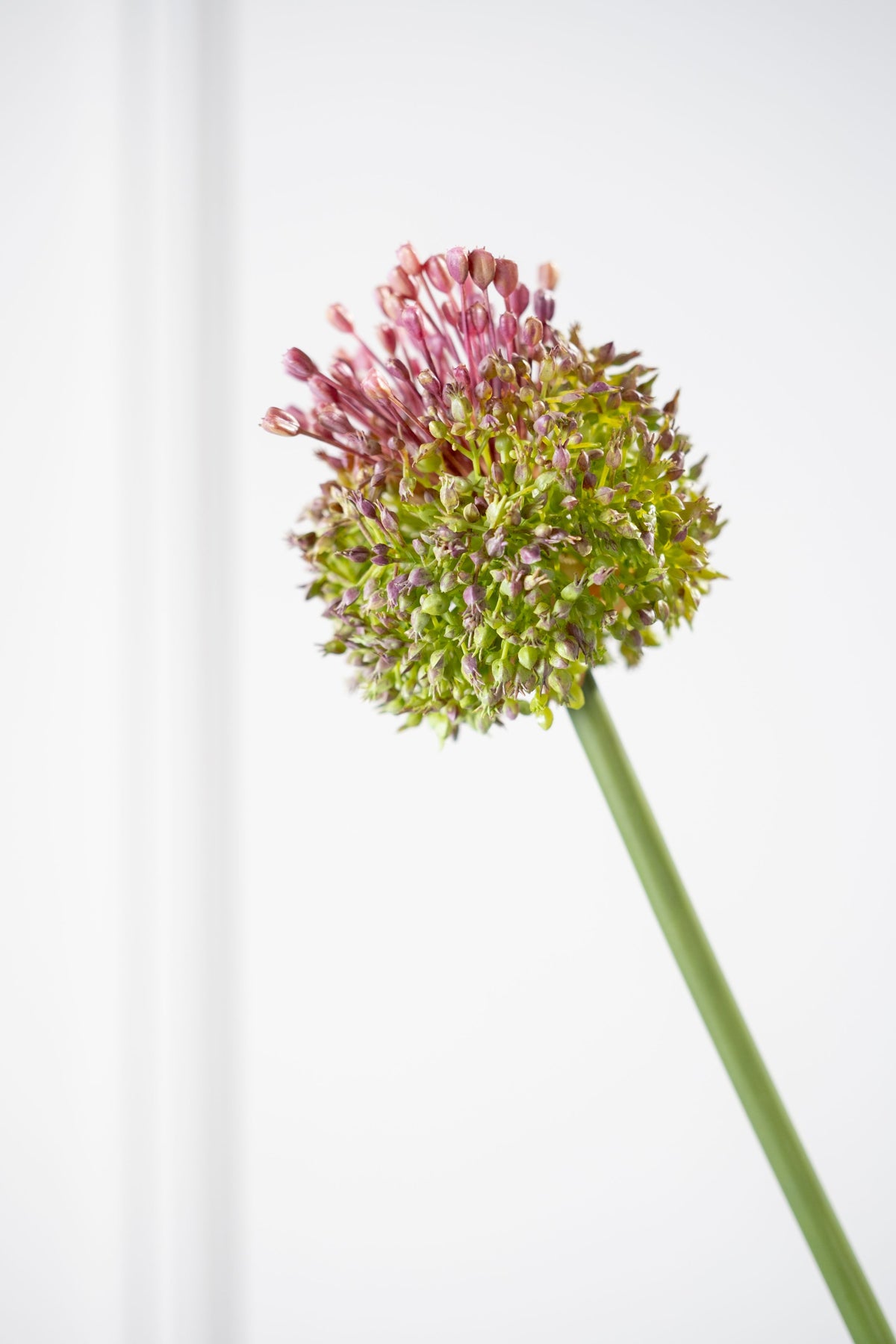 Zijden Bloemen - Silk-Ka - Distel Groen / Lila
