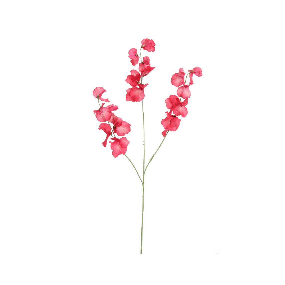 Zijden Bloemen - Lathyrus Beauty