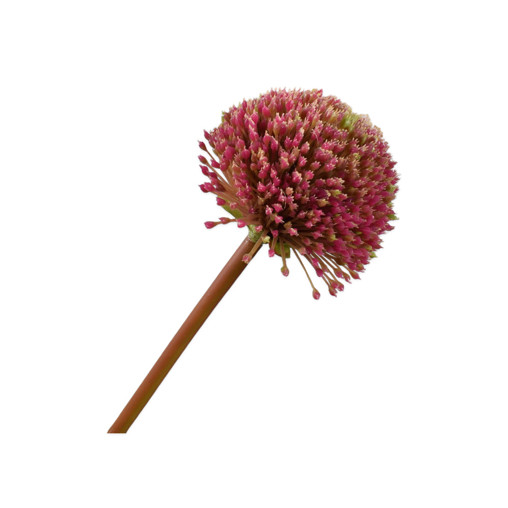roze allium steel - zijden bloemen