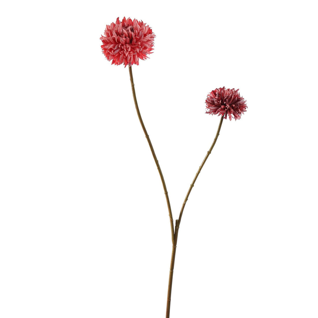 Zijden Bloemen - Bol Chrysant Beauty Roze