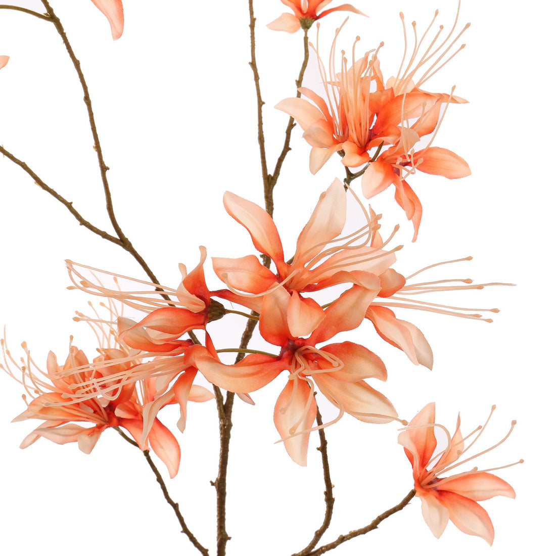 Zijden Bloemen - Bergamot Tak Oranje