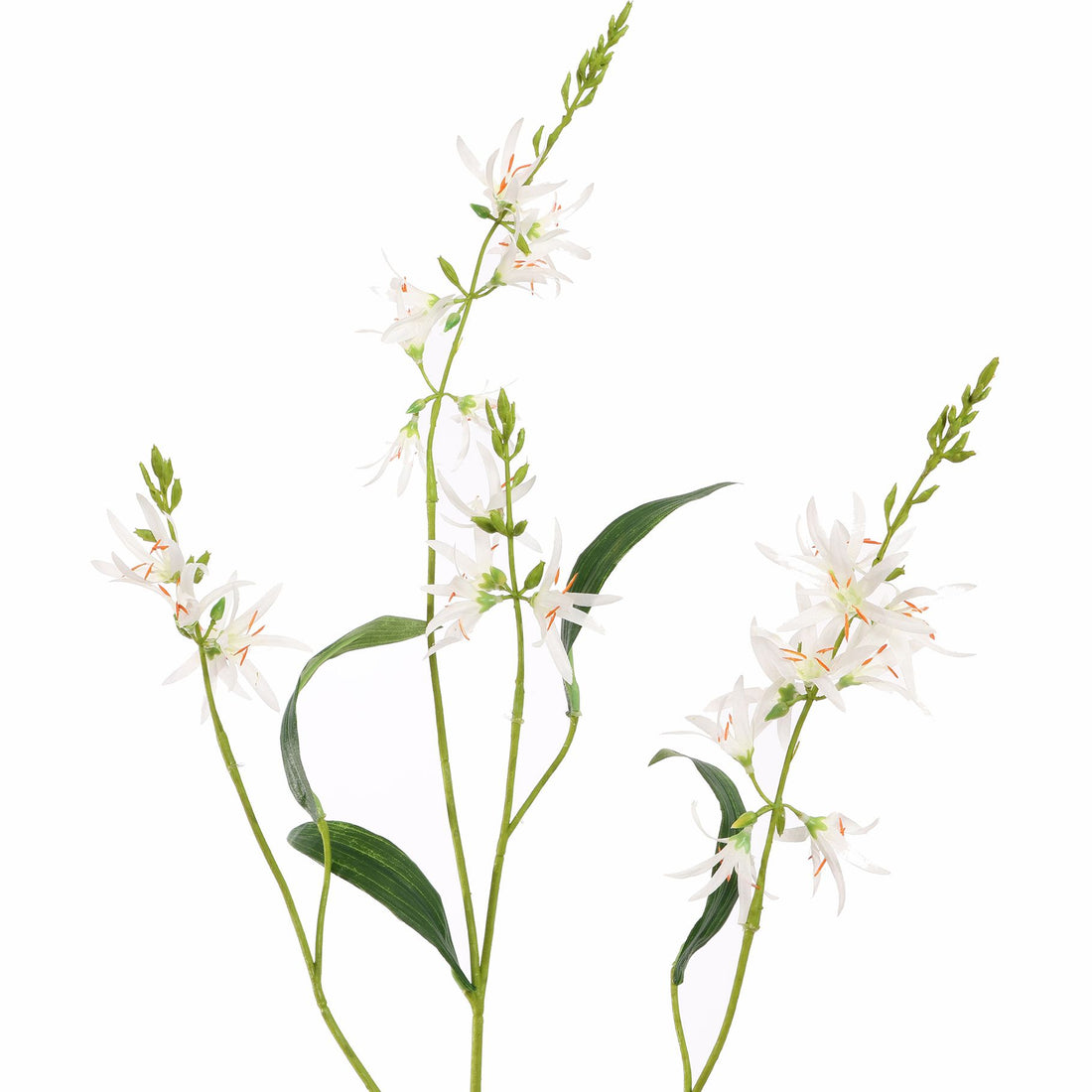 Zijden Bloemen - Camassia Crème Wit