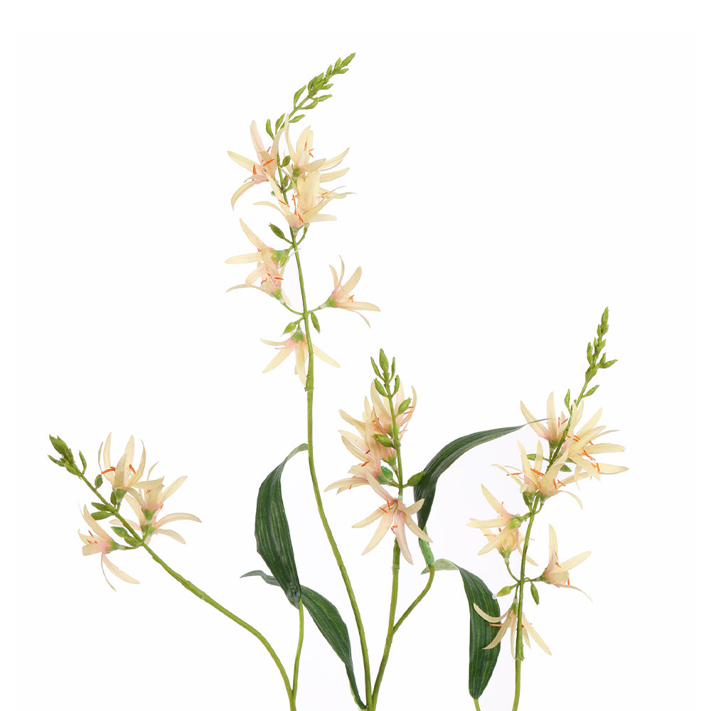 Zijden Bloemen - Camassia Peach