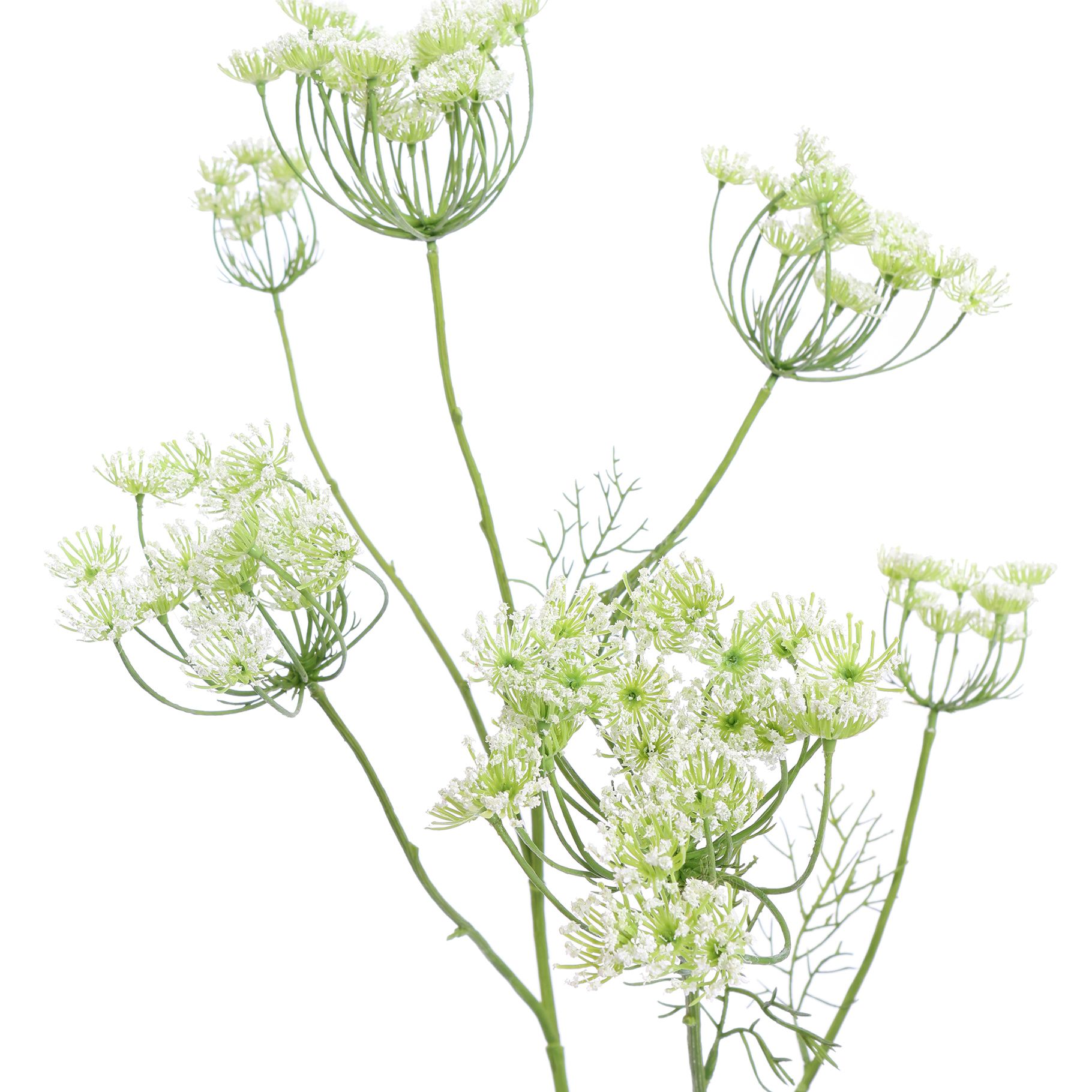 Zijden Bloemen - Dille Tak
