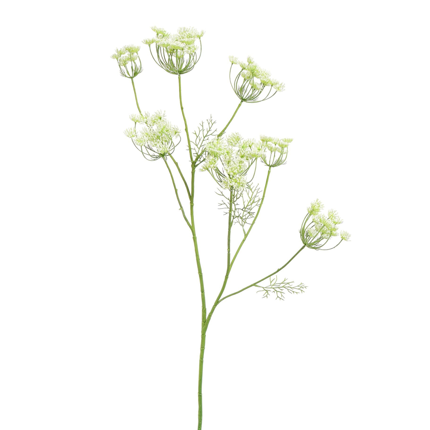 Zijden Bloemen - Dille Tak