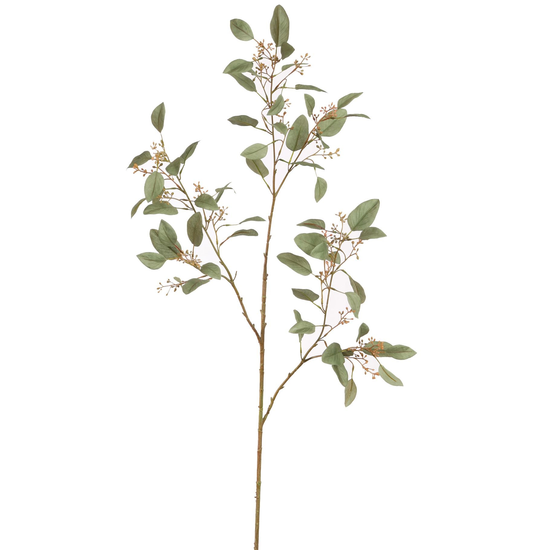 Zijden Bloemen - Eucalyptus Tak