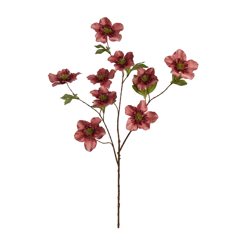 Zijden Bloemen - Helleborus Massala