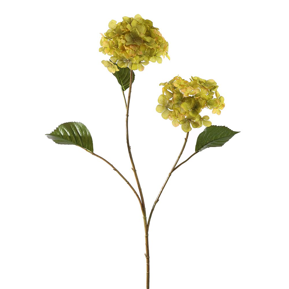 Zijden Bloemen - Hortensia Groen