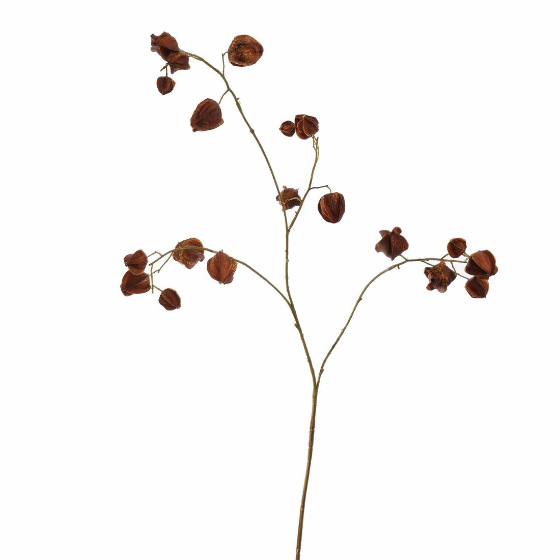 Zijden Bloemen - Lampionnetjes Tak Bruin