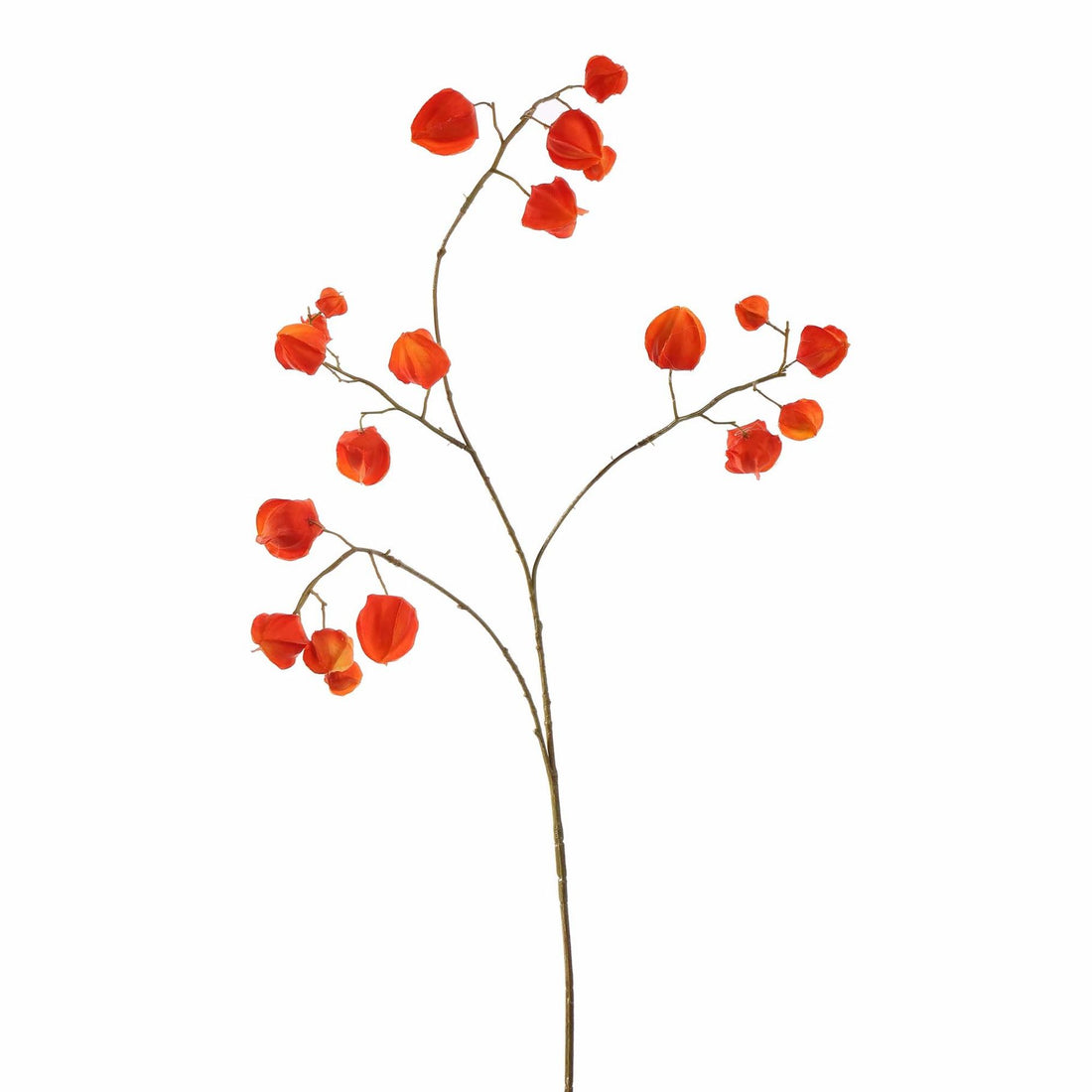 Zijden Bloemen - Lampionnetjes Tak Oranje