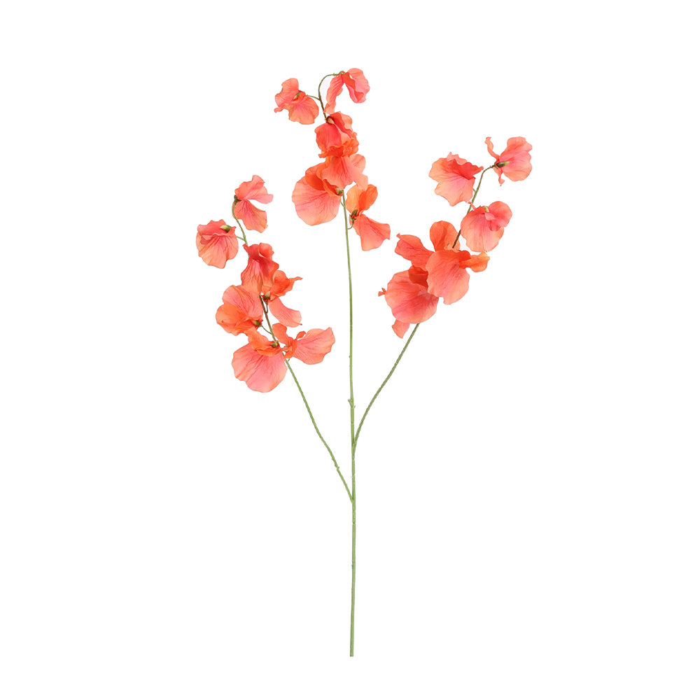Zijden Bloemen - Lathyrus Koraal