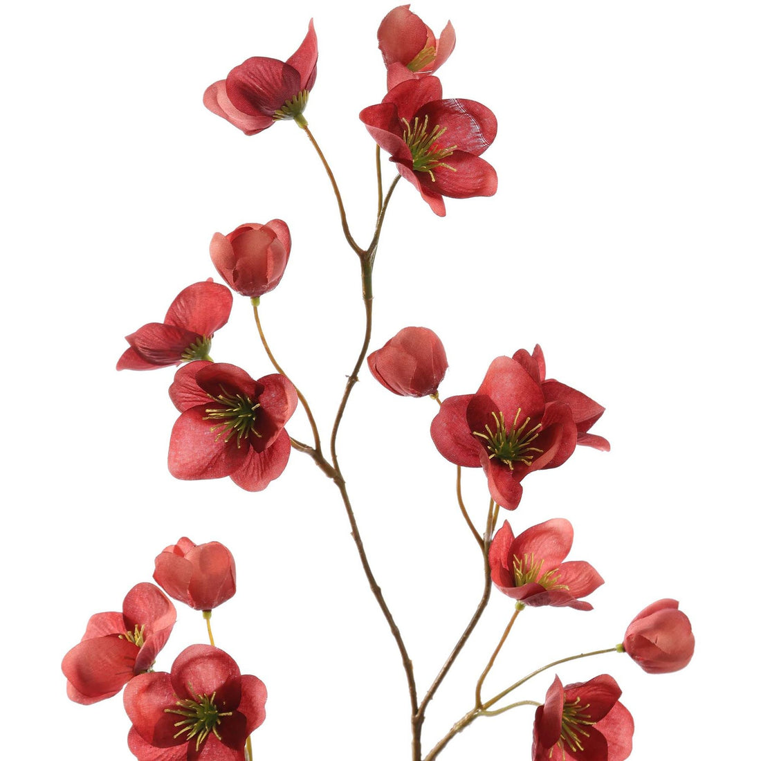 Zijden Bloemen - Mini Helleborus Massala