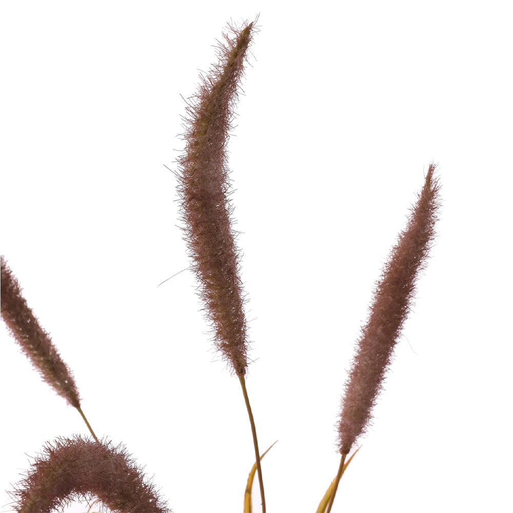 Zijden Bloemen - Graspluimen Bruin/Paars