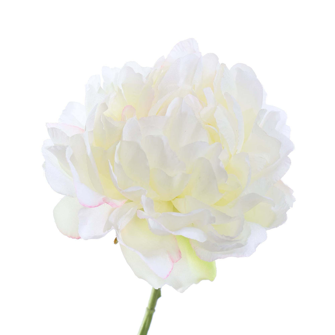 Zijden Bloemen - Pioenroos Crème