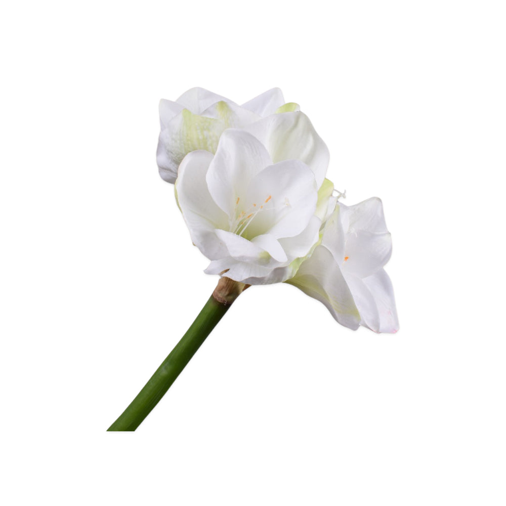 Zijden Bloemen - Silk-Ka - Amaryllis Wit