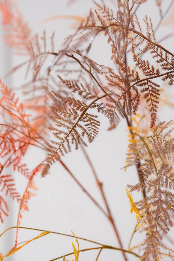 Zijden Bloemen - Silk-ka - Asparagus Bruin