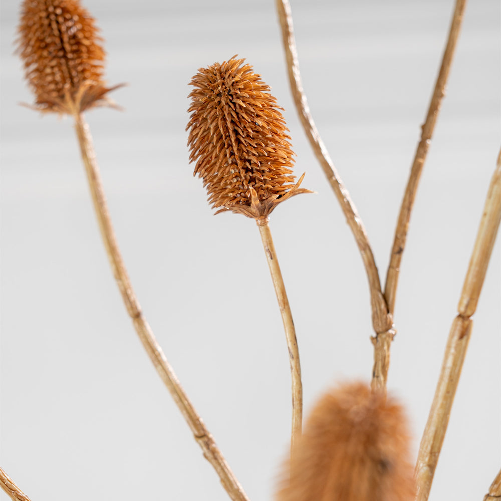 Zijden Bloemen - Silk-Ka - Distels Bruin