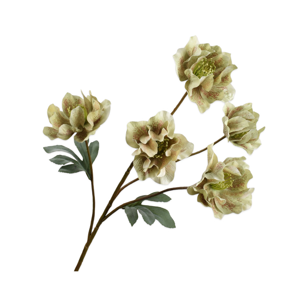 Zijden Bloemen - Helleborus Tak Groen