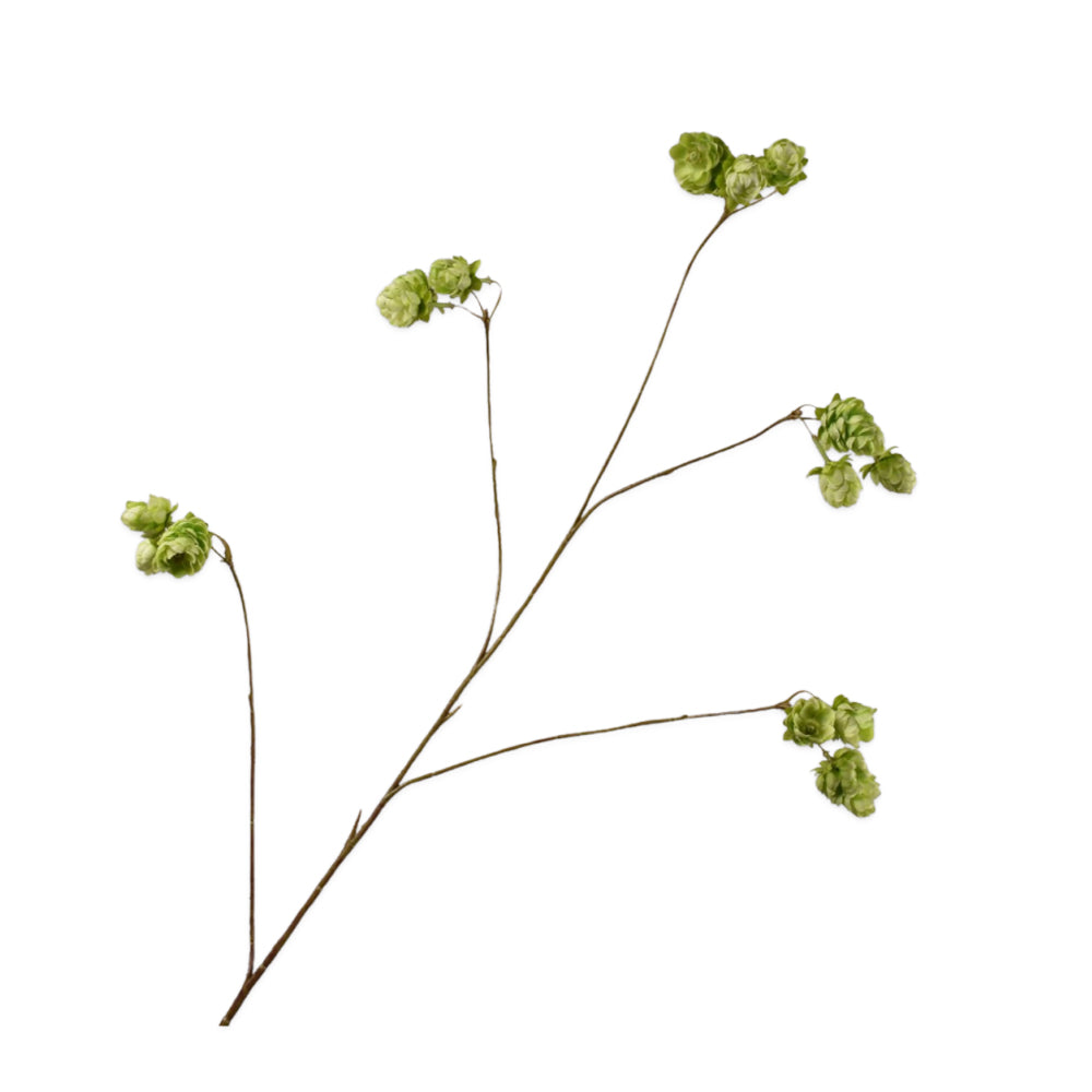 Zijden Bloemen - Silk-ka - Hop Tak Groen Large