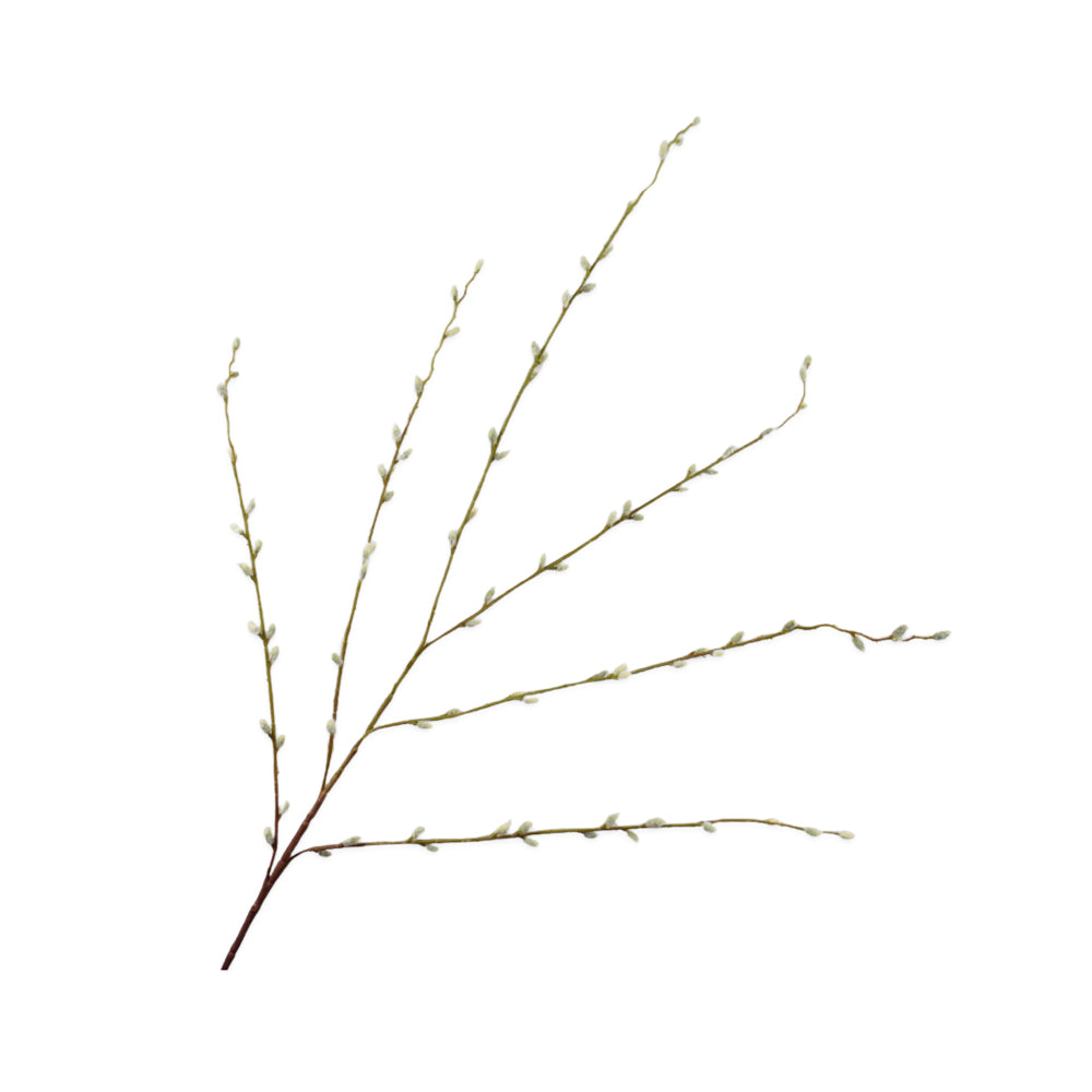 Zijden Bloemen - Silk-ka - Katjes Tak Wit / Groen