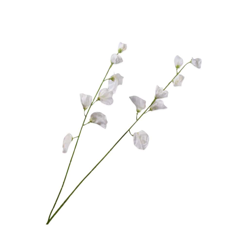 Zijden Bloemen - Silk-Ka - Lathyrus Wit