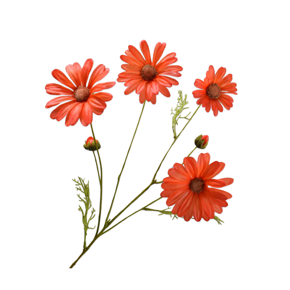 oranje Margriet tak silkka - zijden bloemen