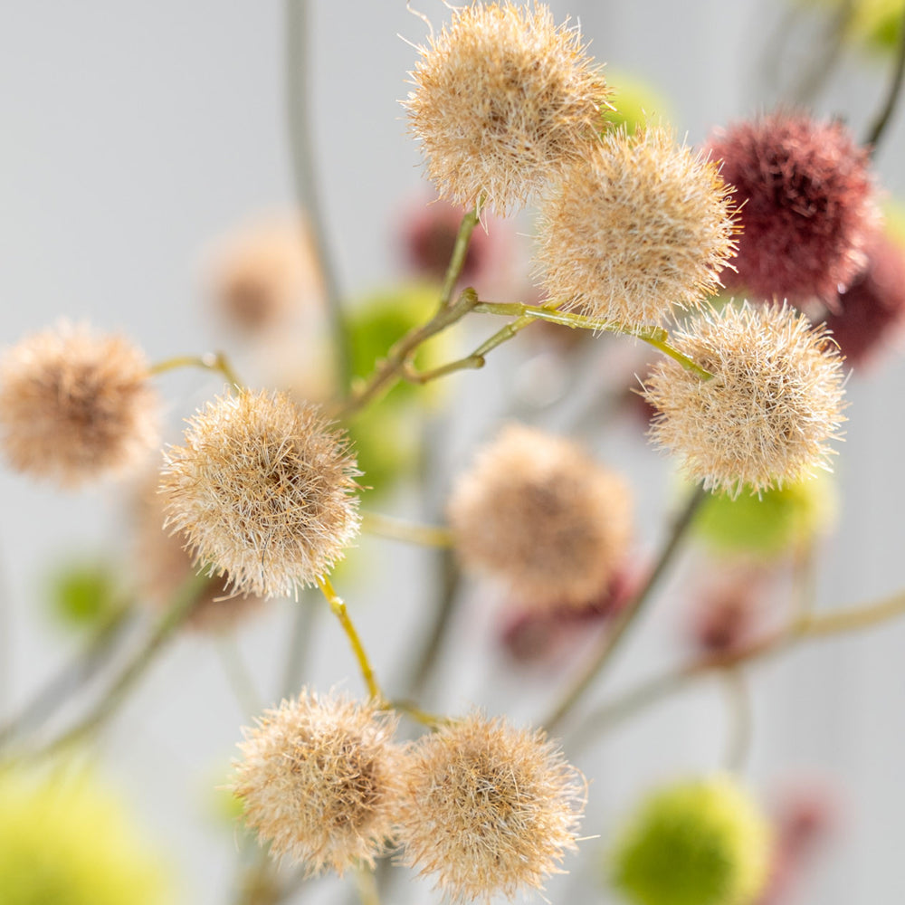 Zijden Bloemen - Silk-Ka - Mimosa Tak Mauve / Beige