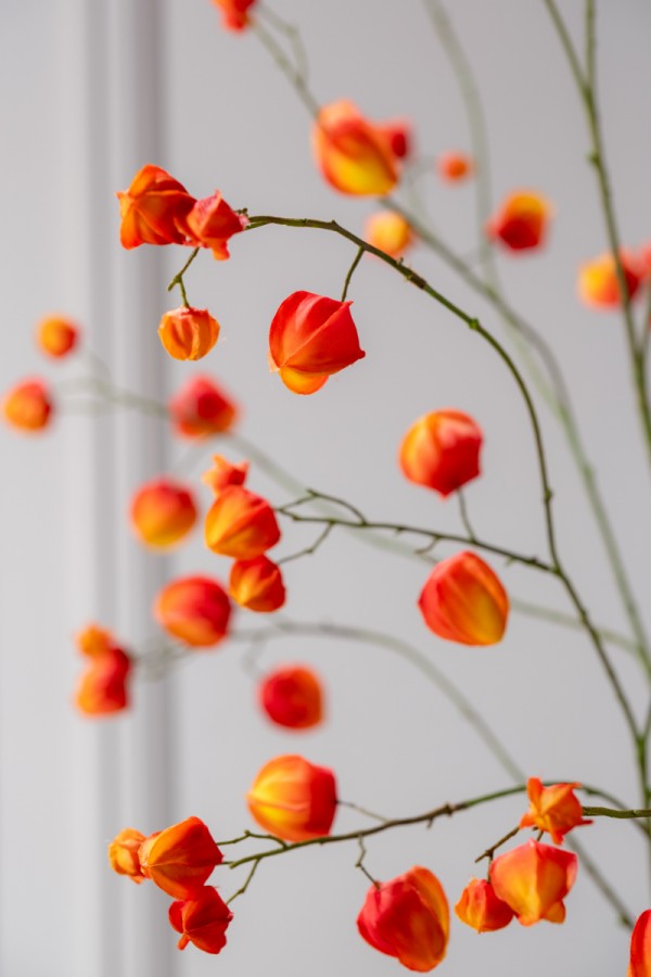 Zijden Bloemen - Silk-Ka - Physalis Tak Oranje