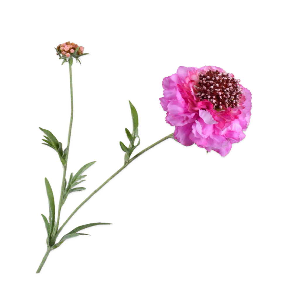 Zijden Bloemen - Silk-ka - Scabiosa Lila