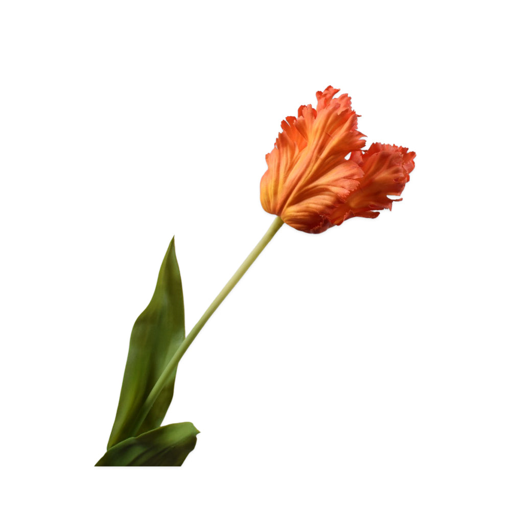zijden bloemen - oranje papegaaien tulp - Silkka