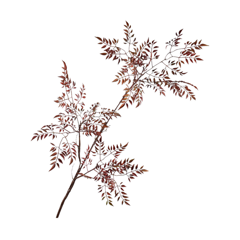Zijden Bloemen - Silk-Ka - Mahonietak Bordeaux