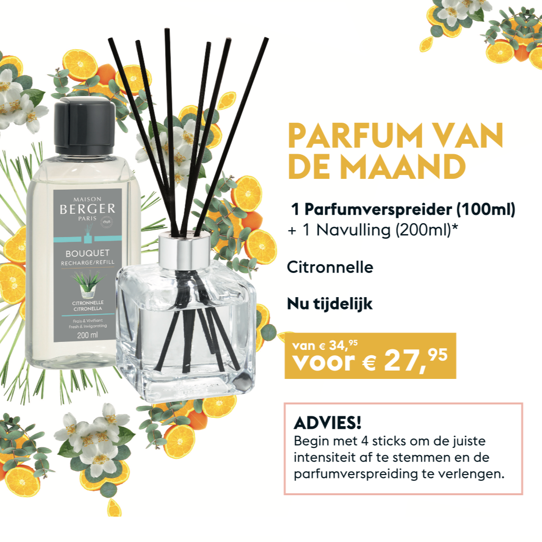 Lampe Berger Geurstokjes - Citronella - Combi Deal