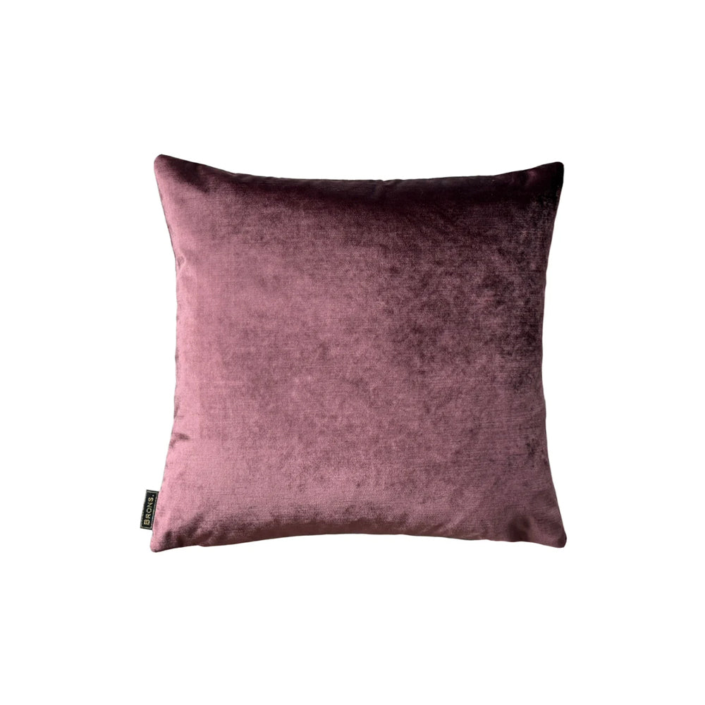 Brons Kussen - Sjors