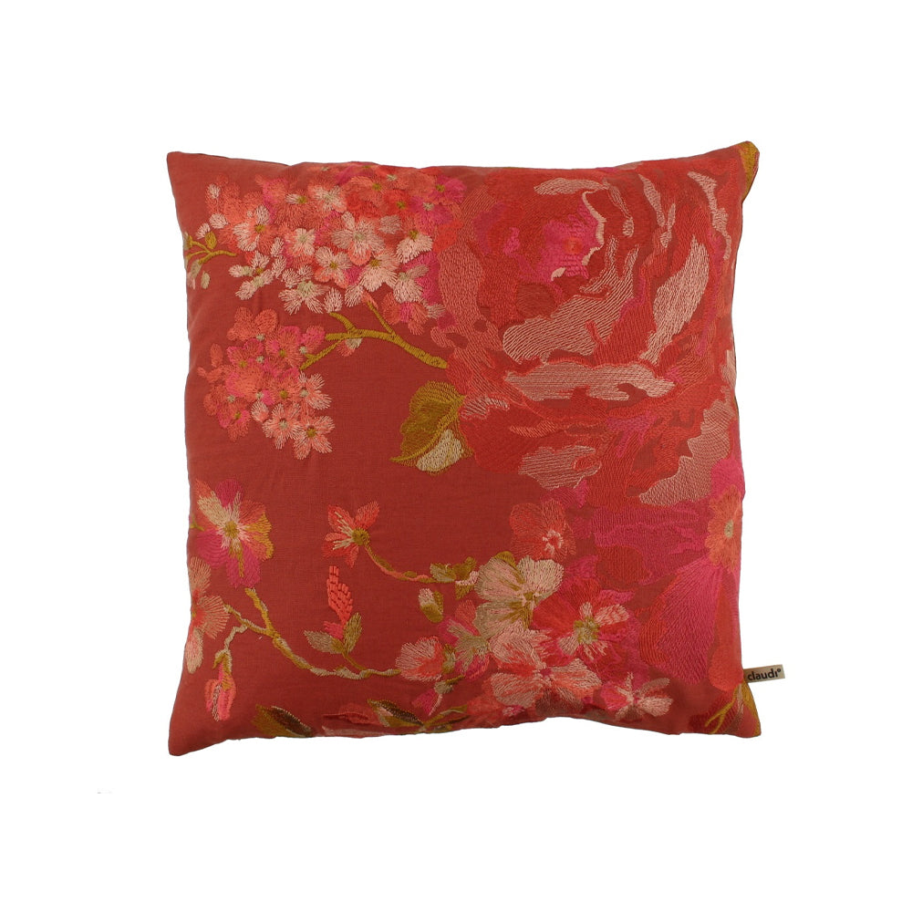 Claudi Kussen - Marlon Exclusive - Terra