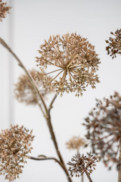 Zijden Bloemen - Silk-Ka - Dille Tak Mauve Beige