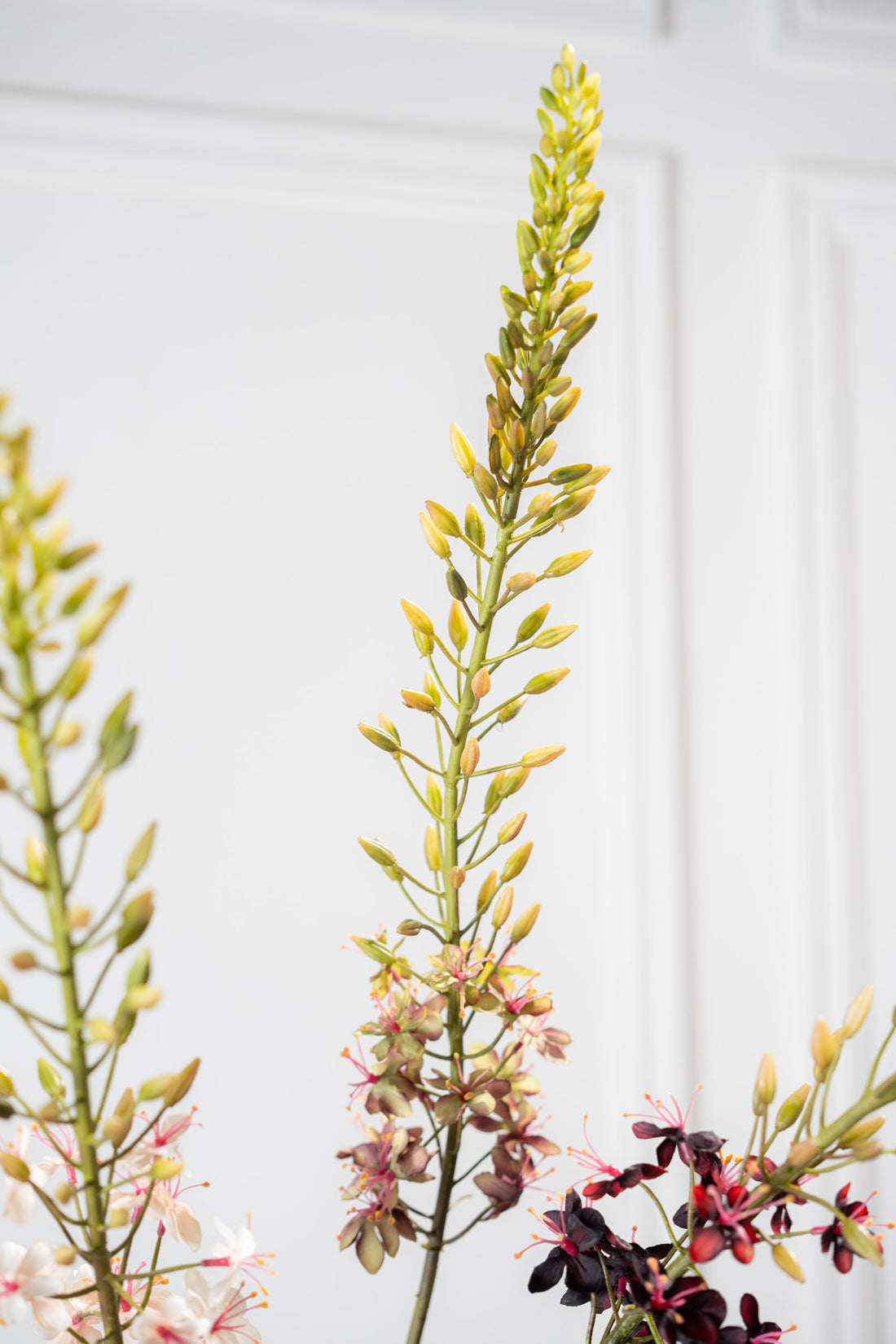 Zijden Bloemen - Silk-Ka - Eremurus Paars / Groen