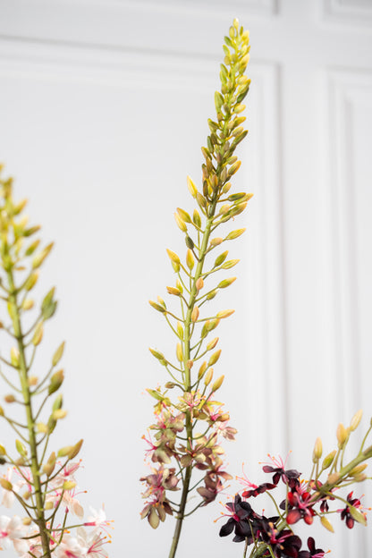 Zijden Bloemen - Silk-Ka - Eremurus Paars / Groen