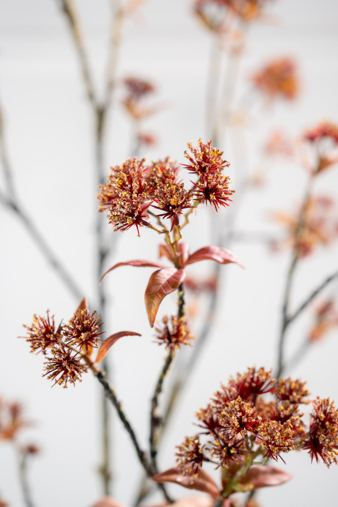 Zijden Bloemen - Silk-Ka - Kastanjetak Rood/Bruin