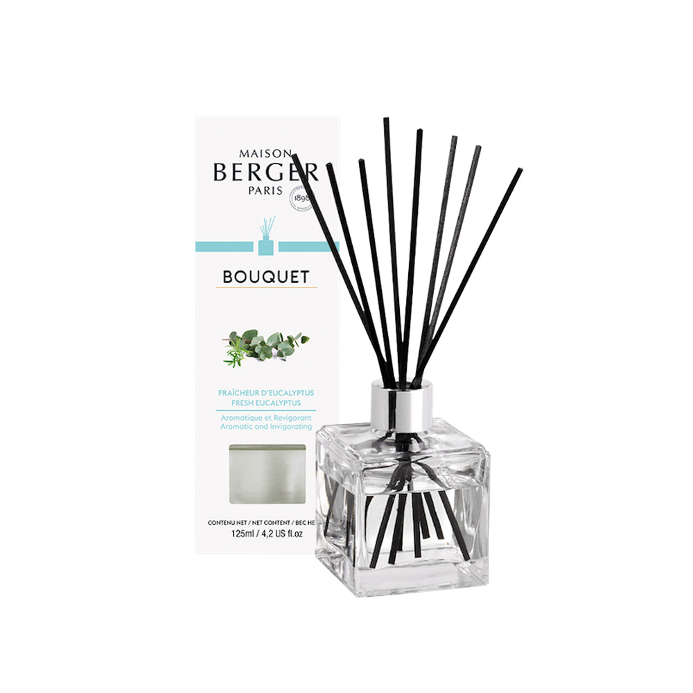 Lampe berger geurstokjes fresh eucalyptus