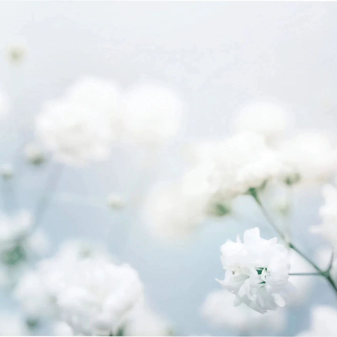 Millefiori - Roomspray - White Musk