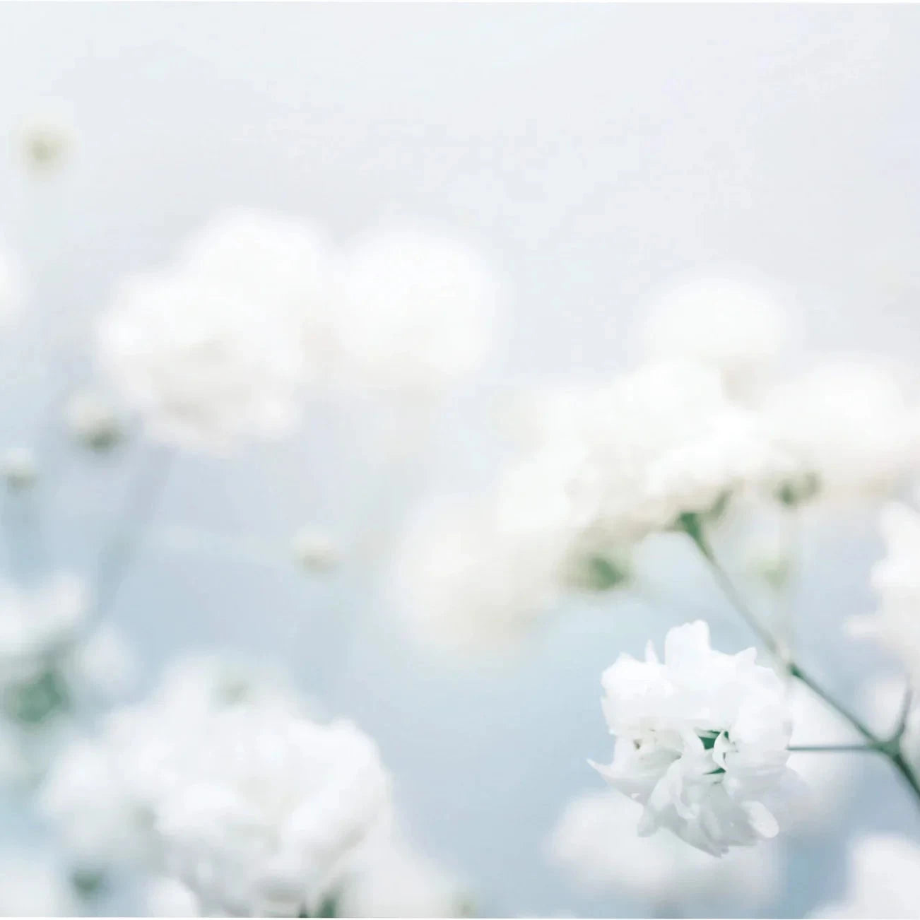 Millefiori - Roomspray - White Musk