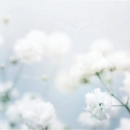 Millefiori - Roomspray - White Musk