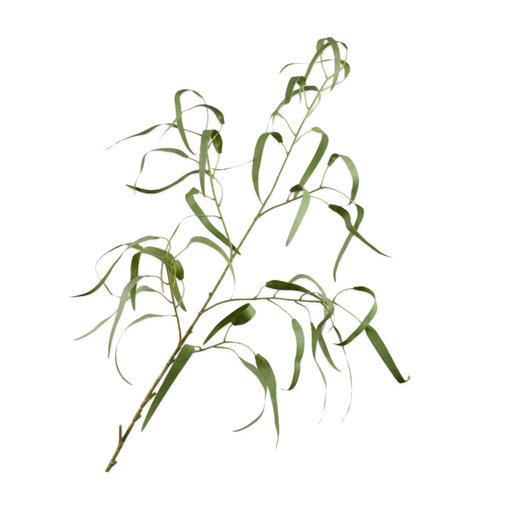 Zijden Bloemen - Silk-ka - Spriet Eucalyptus Groen