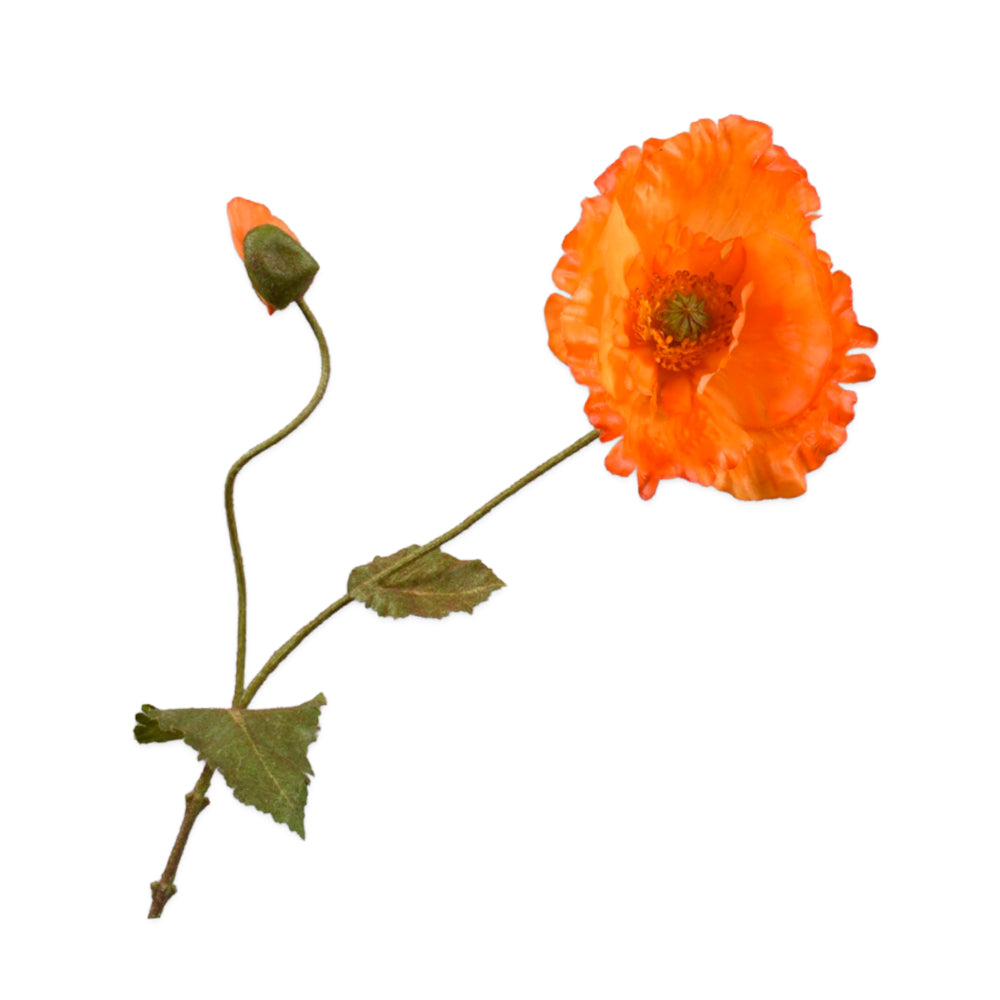 oranje klaproos silkka - zijden bloemen